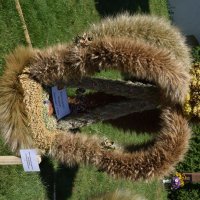 Zobacz w powiększeniu: Dożynki Gminne Baranów 2025 (15)